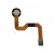 Fingerprint Sensor Flex Cable For Meizu 15 Gold By - Maxbhi Com