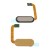 Fingerprint Sensor Flex Cable For Htc One M9 Plus Prime Camera Edition Silver Gold By - Maxbhi Com