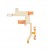 Main Board Flex Cable For Samsung Tocco Lite Gts5230 By - Maxbhi Com