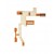 Main Board Flex Cable For Samsung Tocco Lite Gts5230 By - Maxbhi Com