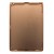 Back Panel Cover For Apple Ipad 10 2 2020 Gold - Maxbhi Com