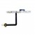 Volume Button Flex Cable For Doogee V Max By - Maxbhi Com