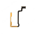 Volume Button Flex Cable For Oneplus Nord N20 5g By - Maxbhi Com