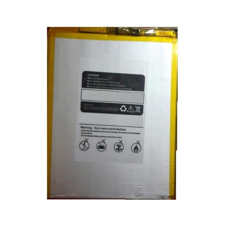 Battery for Micromax Canvas Tab P290 by